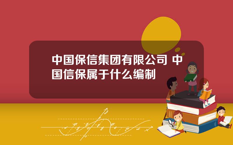 中国保信集团有限公司 中国信保属于什么编制